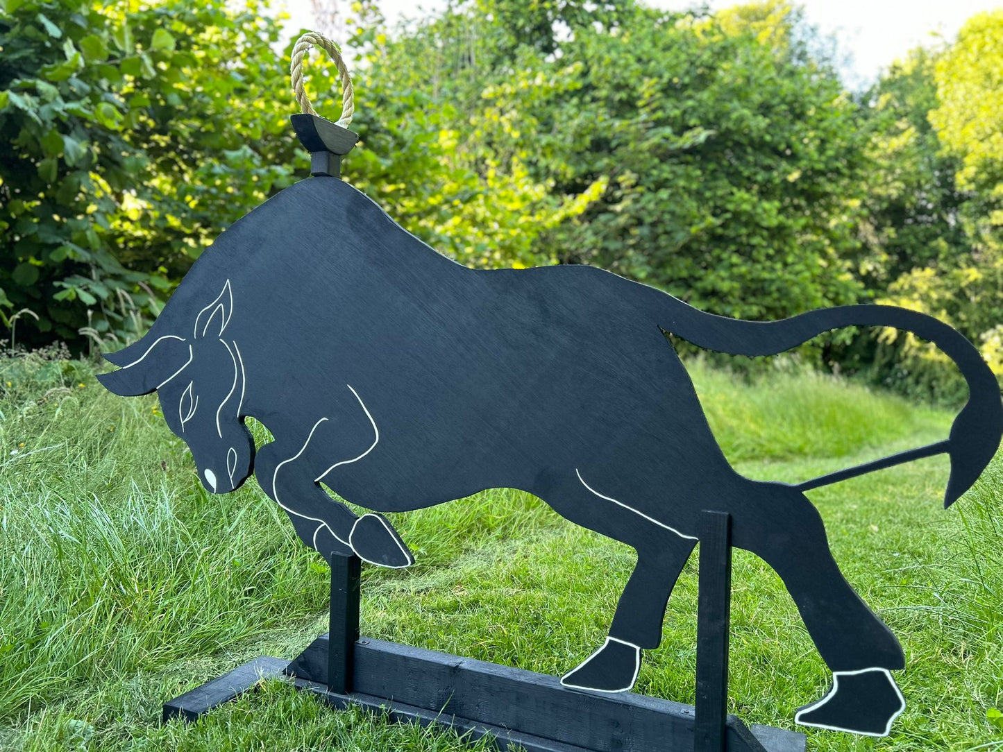 WE Equip Working Equitation Bull