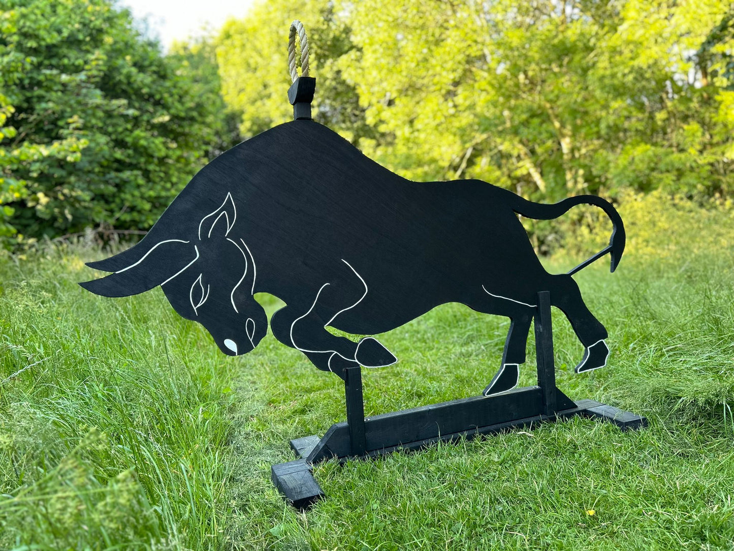 WE Equip Working Equitation Bull