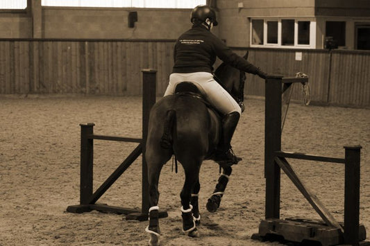 WE Equip Working Equitation Gate